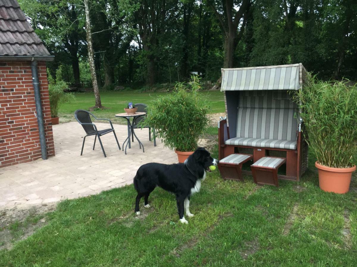Huck'S Ferienhaeuser Borstel  外观 照片
