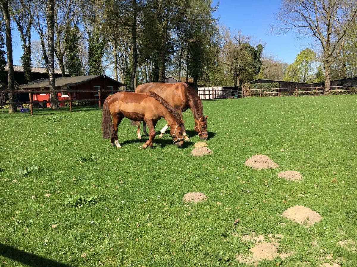 Huck'S Ferienhaeuser Borstel  外观 照片